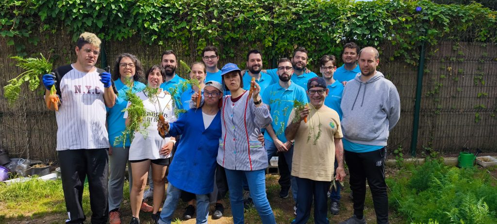 Semana Voluntariado