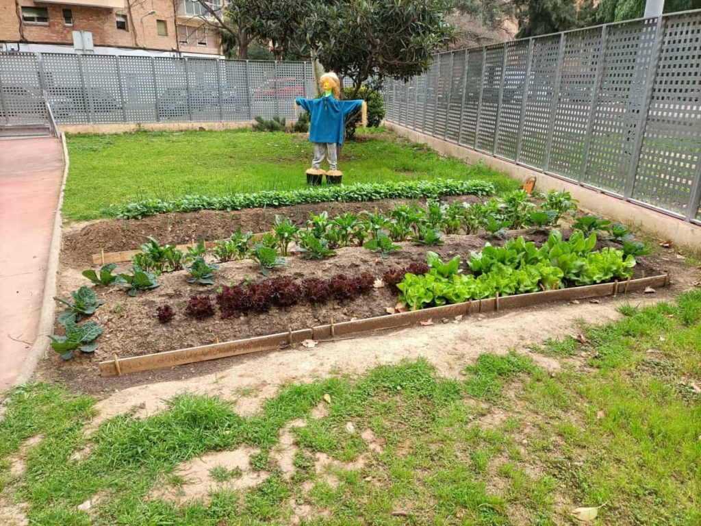 hort-urba-asproseat-millores