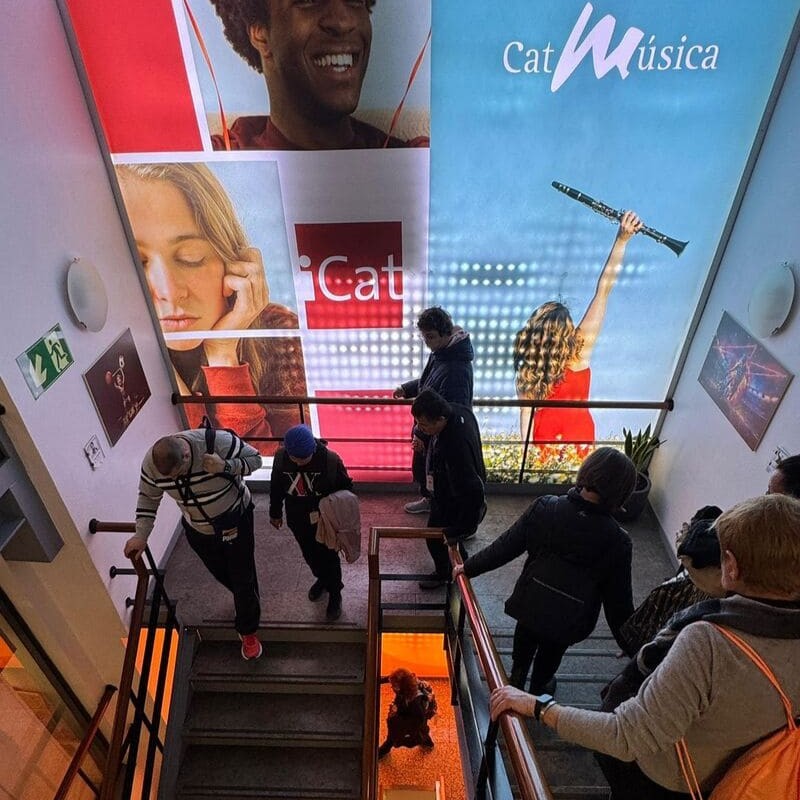 inclusió cultura