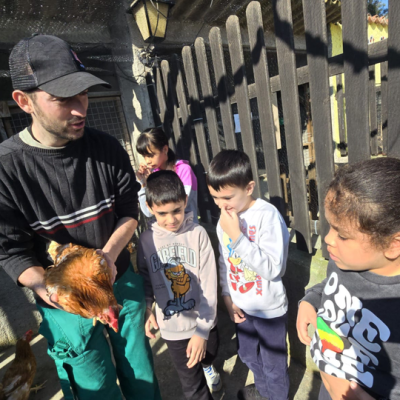 jornada animals-castellbisbal