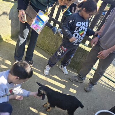 jornada animals-castellbisbal