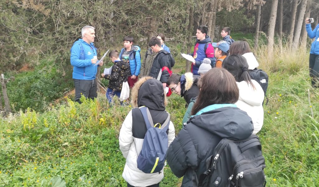 Activitat física natura Collserola Trail BCN